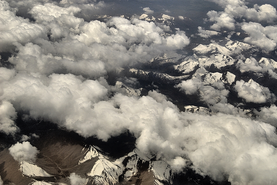 _DSC0717.jpg