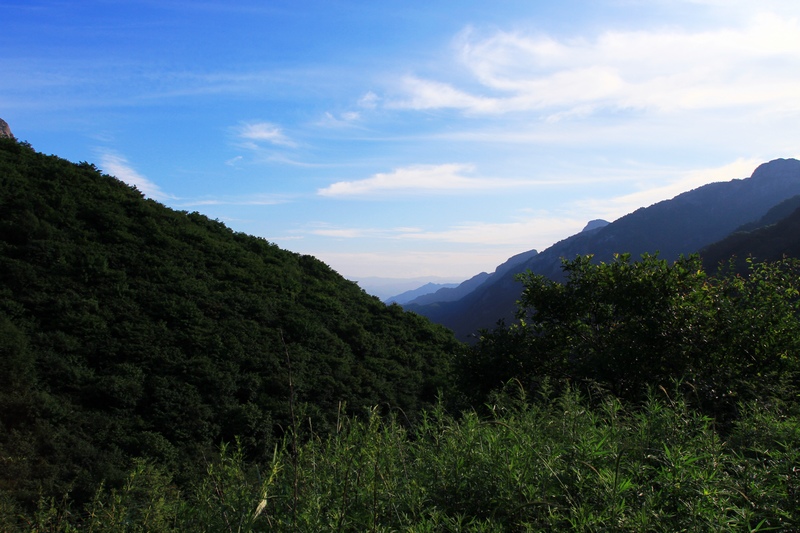 IMG_6128.jpg