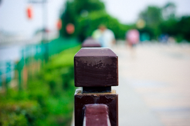 _MG_8018-2.jpg