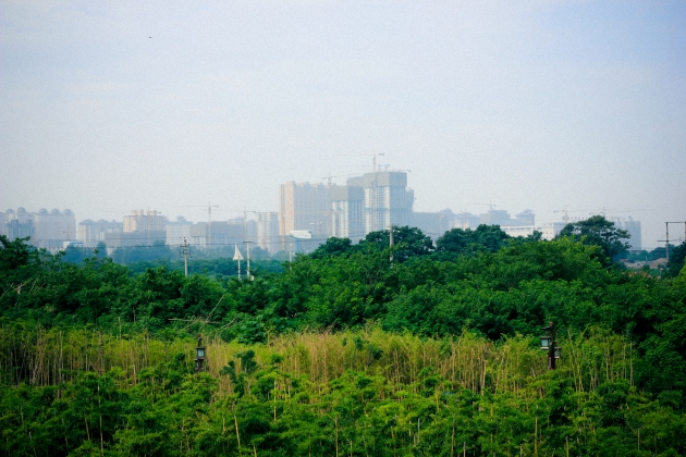 _MG_8100-2.jpg