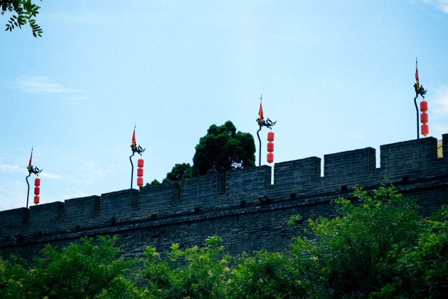 _MG_8315-2.jpg