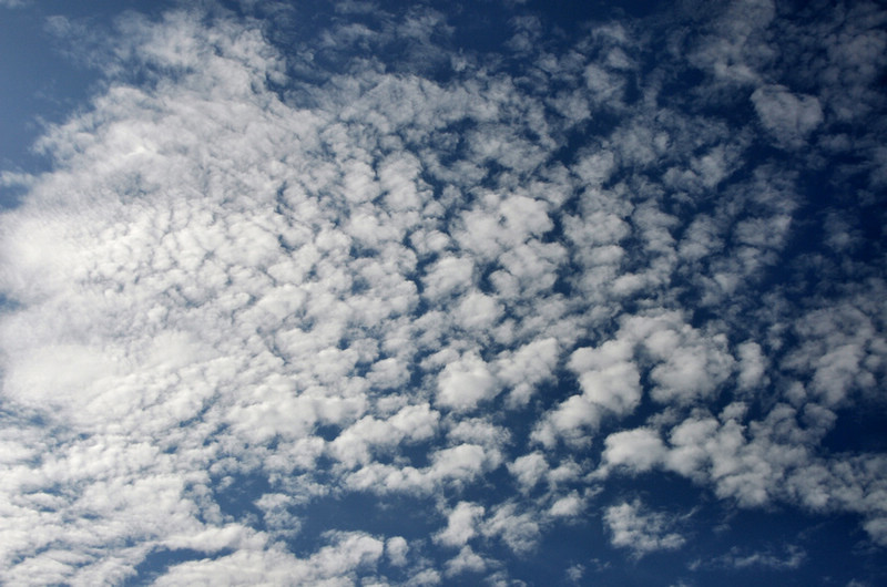DSC_2936.jpg