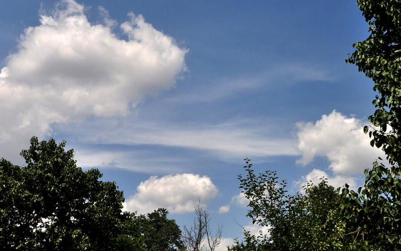 DSC_2995.jpg