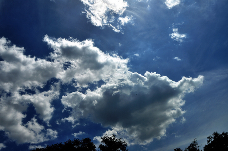 DSC_2998.jpg