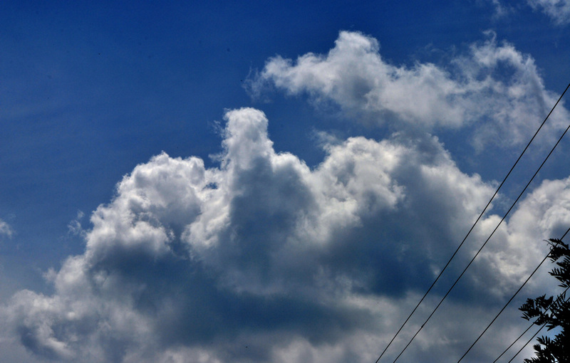 DSC_3001.jpg