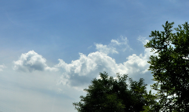 DSC_3002.jpg
