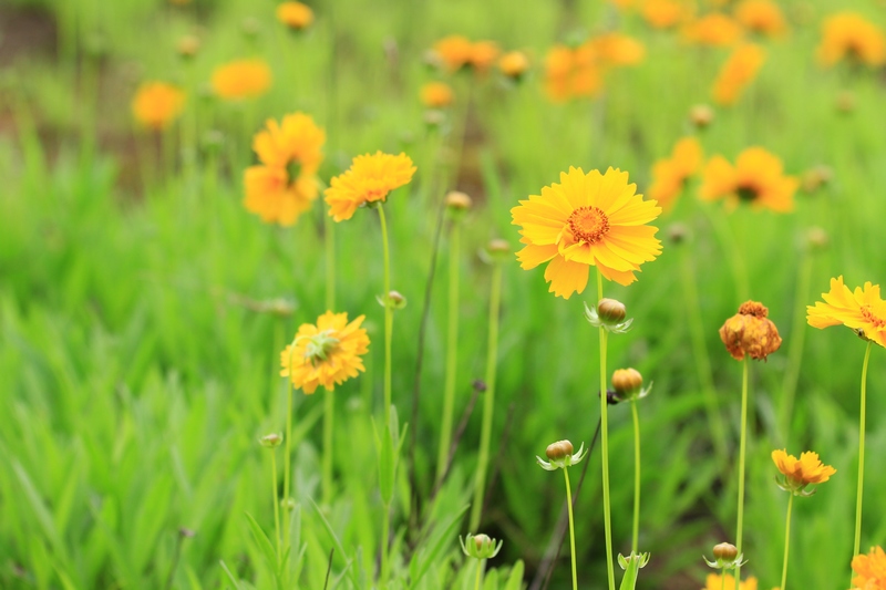 汉中随拍 204.jpg