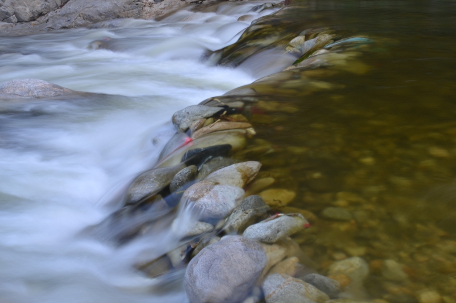 DSC_2489.JPG