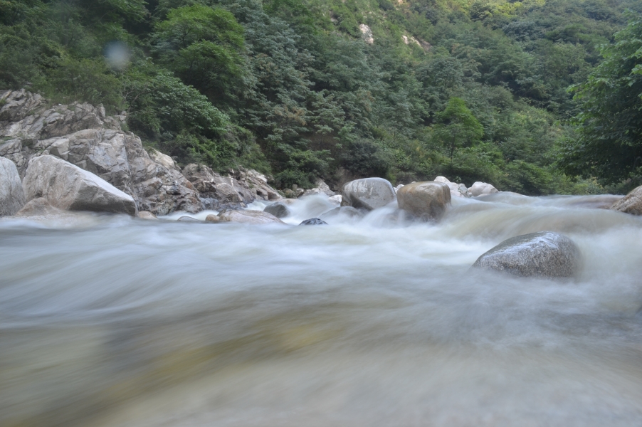 DSC_2463.JPG
