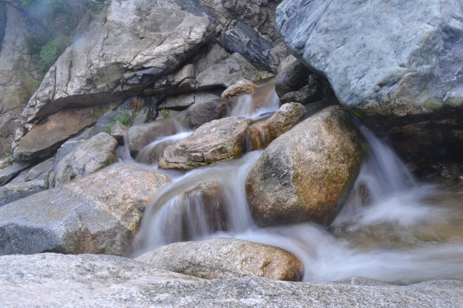 DSC_2443.JPG