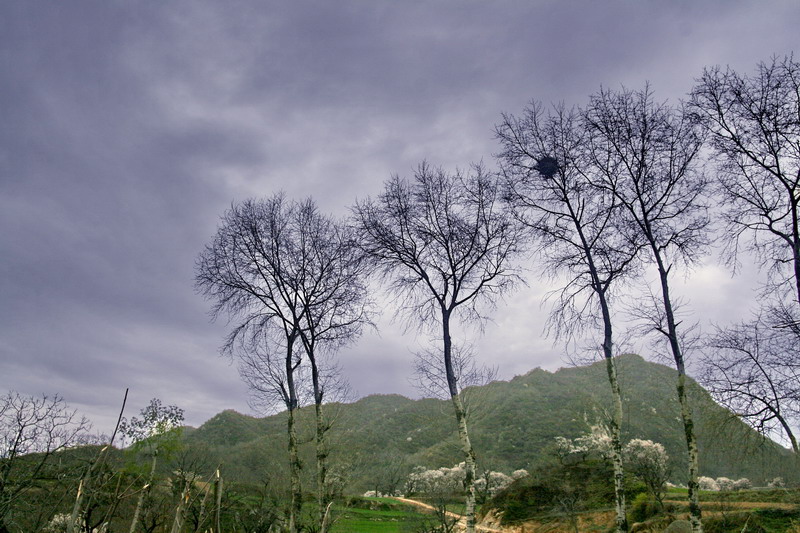 584.jpg