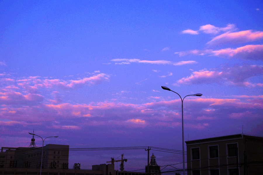 DSC_6814.JPG