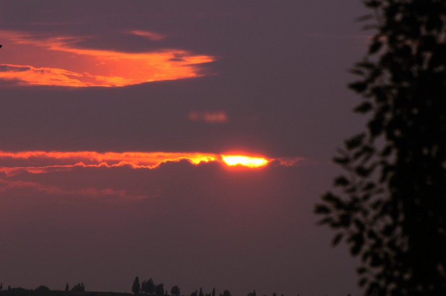 DSC_6980.JPG