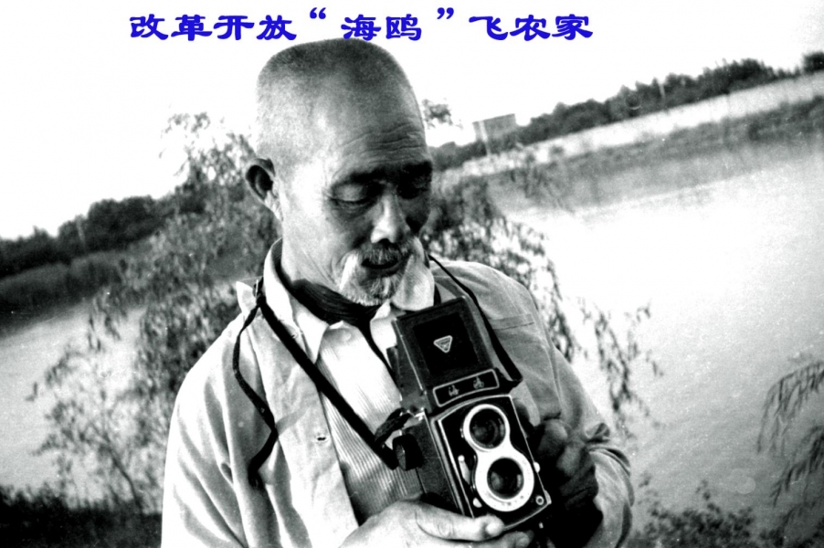 改革开放“海鸥”飞农家.jpg