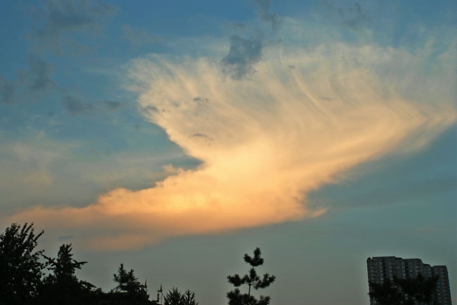 CSC_0221.JPG
