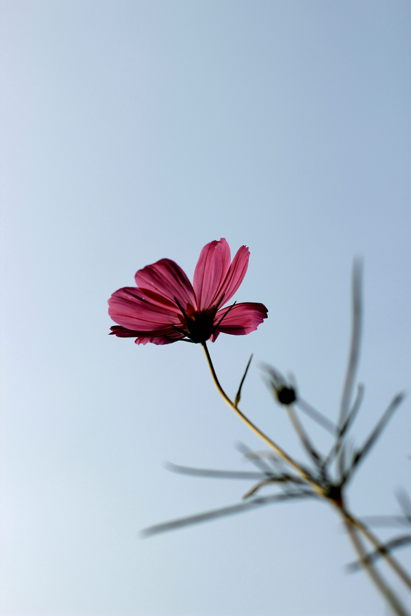 0728 小刘，湿地。25.JPG