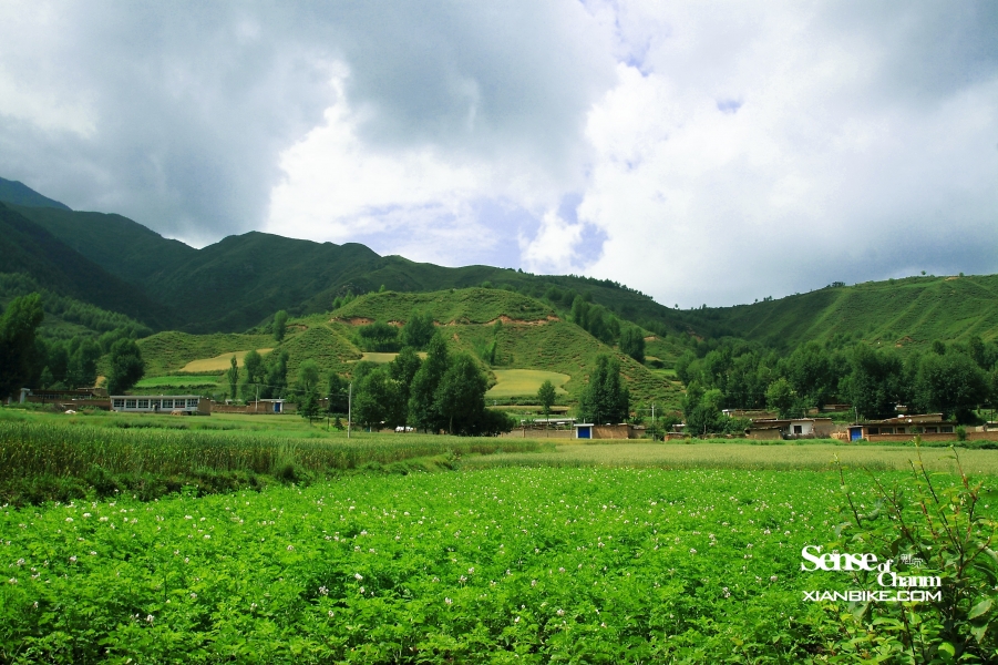 IMG_8402副本.jpg