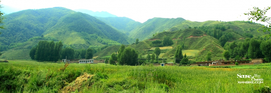IMG_8434副本.jpg
