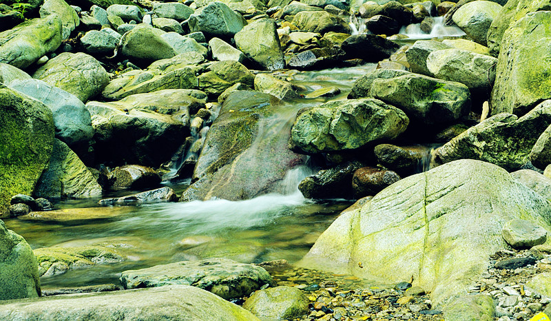 DSC_0327.jpg