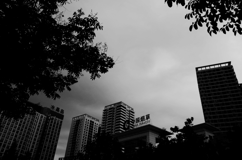 nEO_IMG_DSC_3901.jpg
