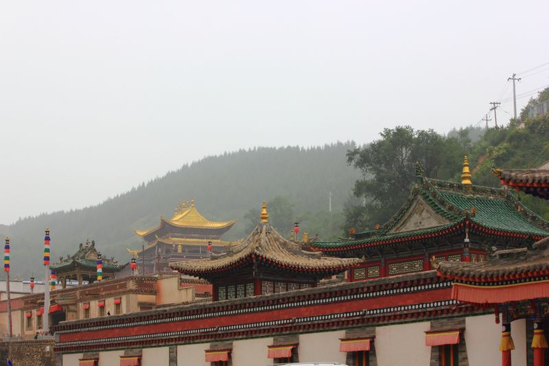 nEO_IMG_印象塔尔寺13.jpg