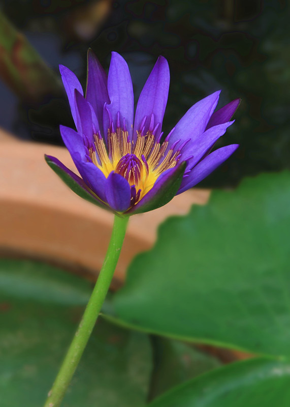 户县 002_副本_副本.jpg