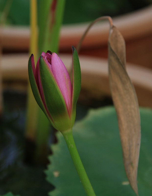 户县 004_副本_副本.jpg