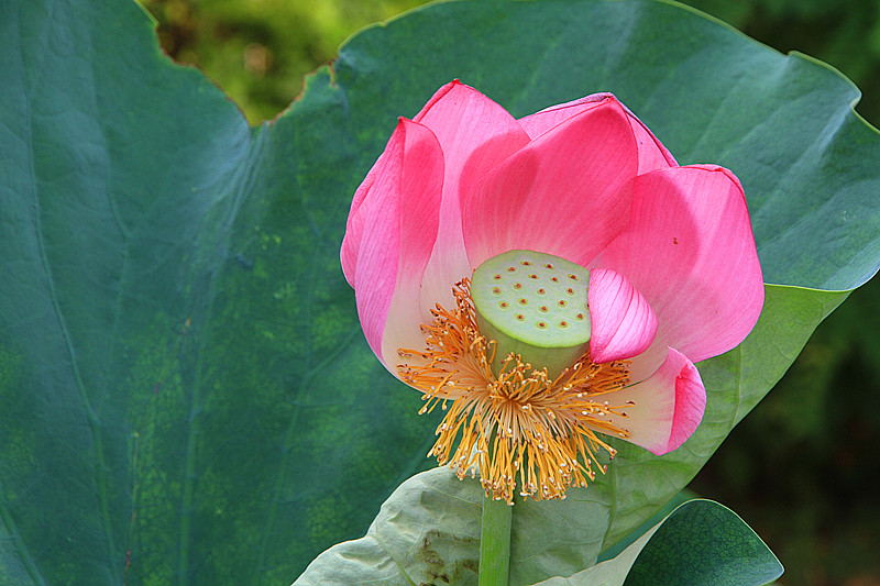 户县 033_副本.jpg