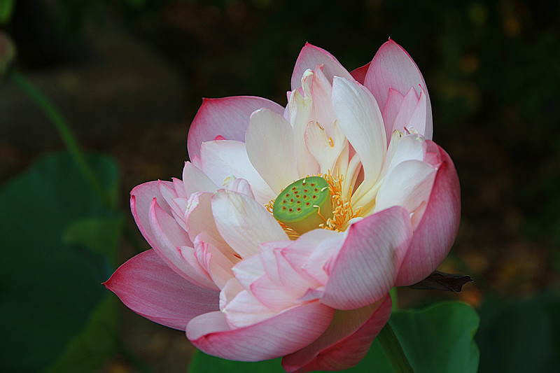 户县 038_副本.jpg