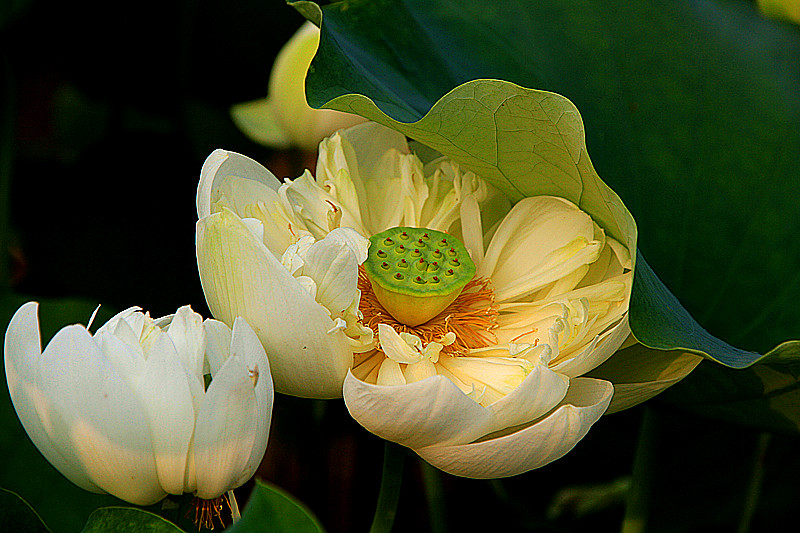 户县 039_副本.jpg