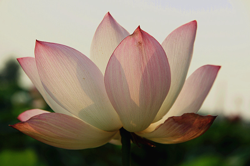 户县 044_副本.jpg