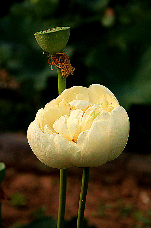 户县 045_副本.jpg