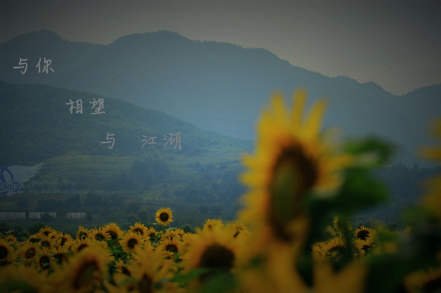 123_副本.jpg