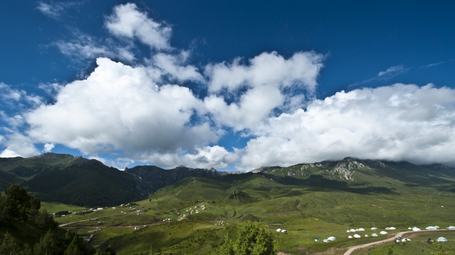 DSC_9996.JPG