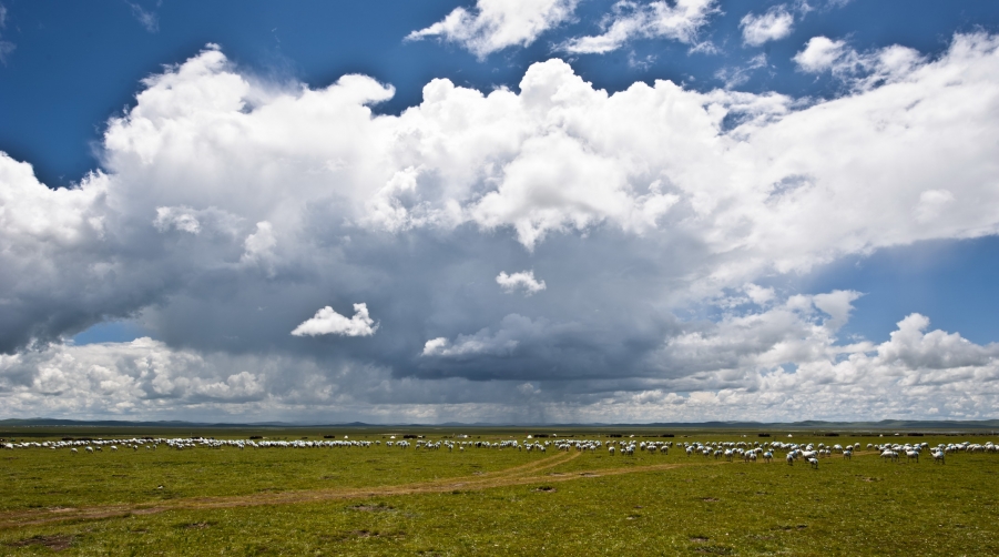DSC_0056.JPG