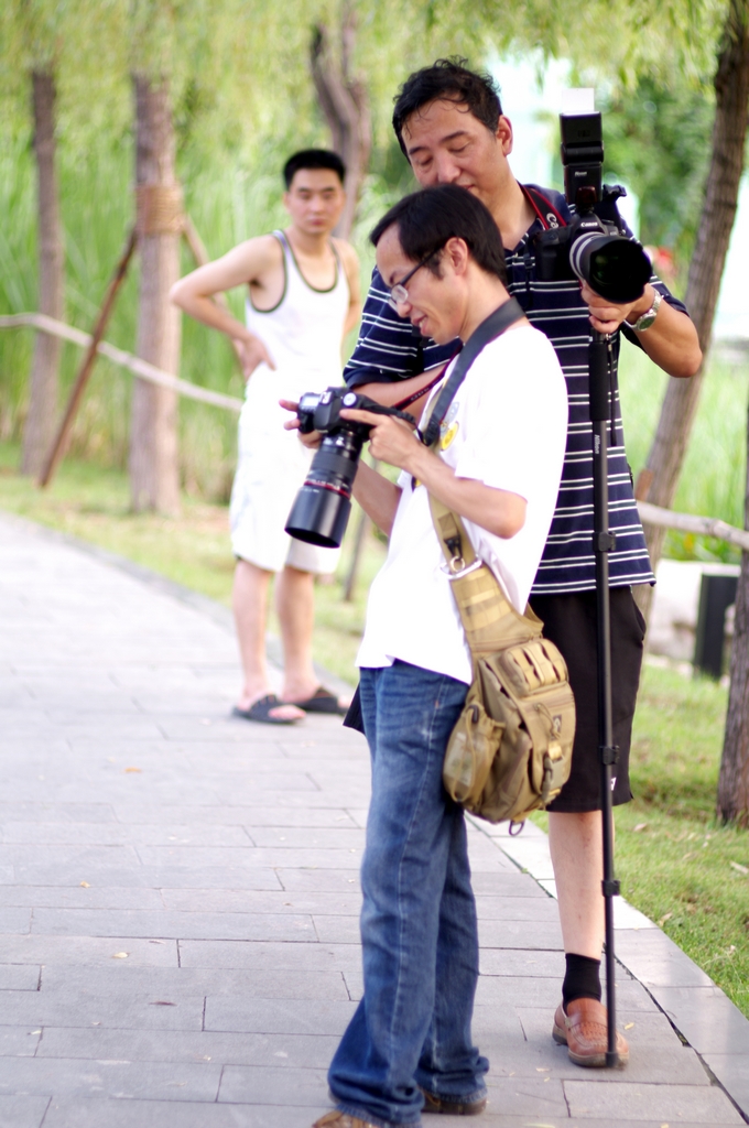 IMGP6088.jpg