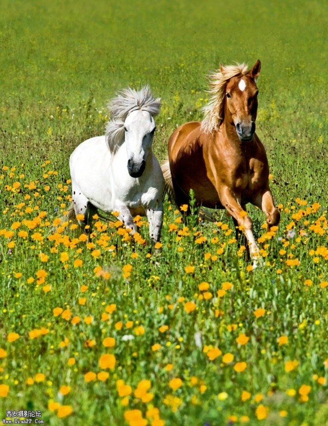 DSC5112-673x875.jpg