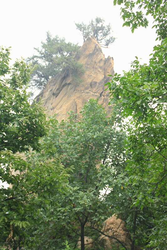照片 115.jpg