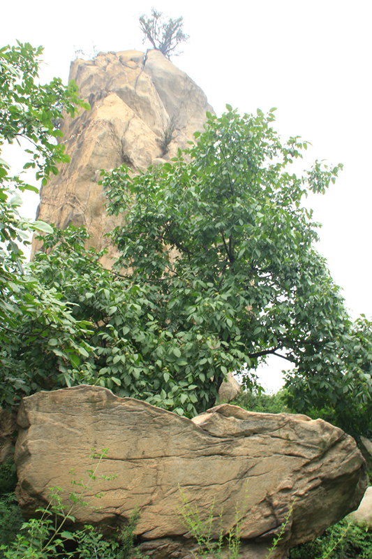 照片 120.jpg