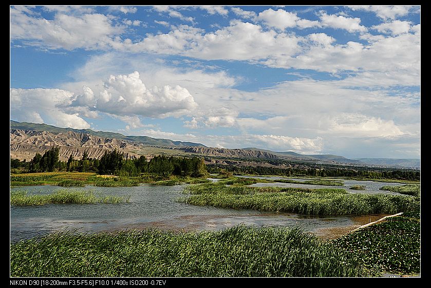 nEO_IMG_2012.8.2-7 215.jpg