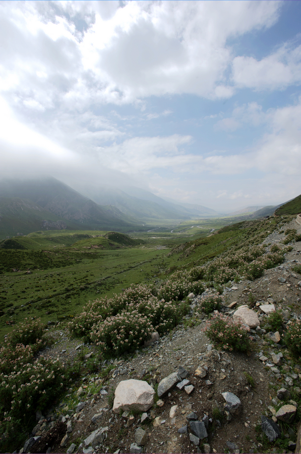 DSC_4887.jpg