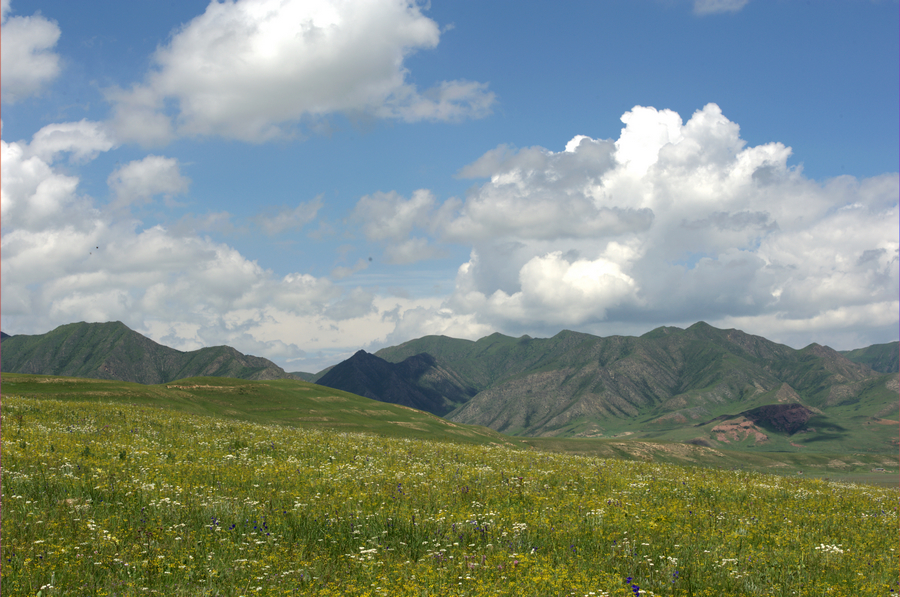 DSC_4912.jpg