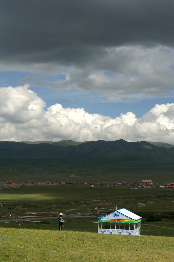 DSC_4930.jpg