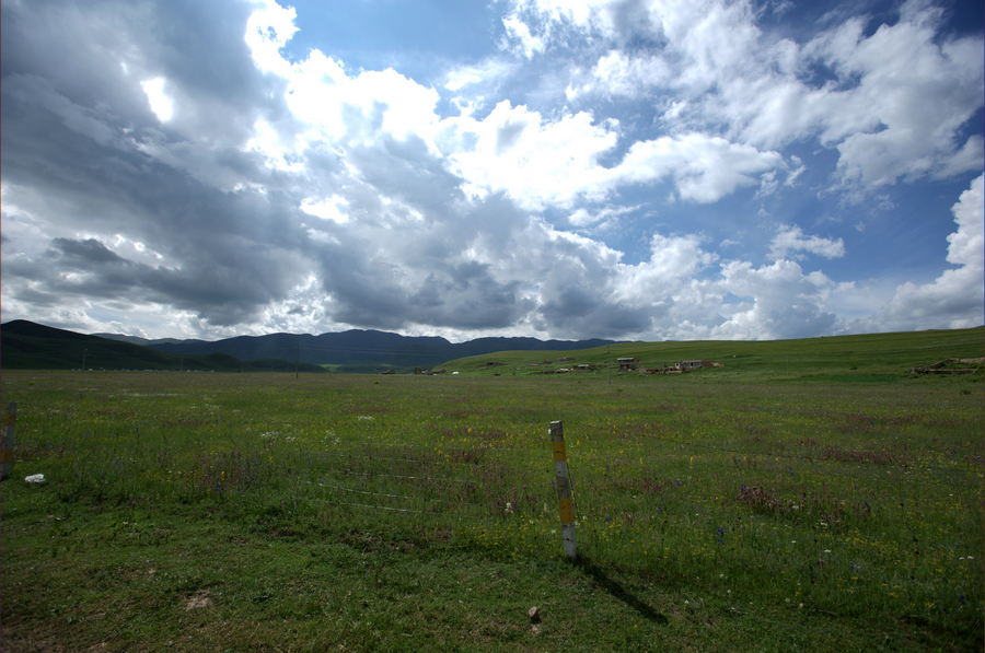 DSC_4949.jpg