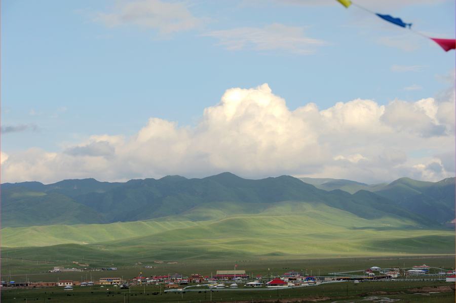 DSC_4992.jpg