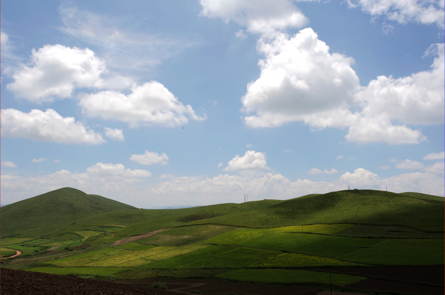 DSC_5008.jpg