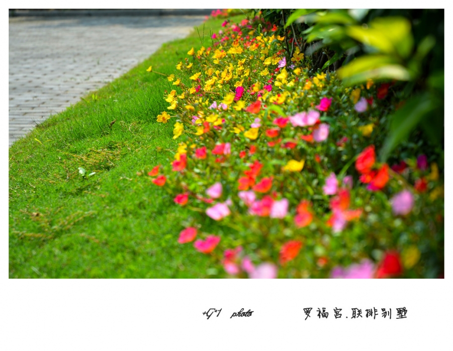 DSC_1378_副本.jpg
