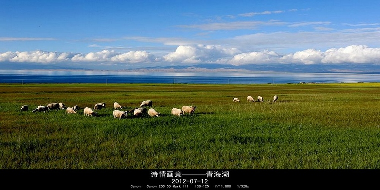 CM1C7949_副本.jpg