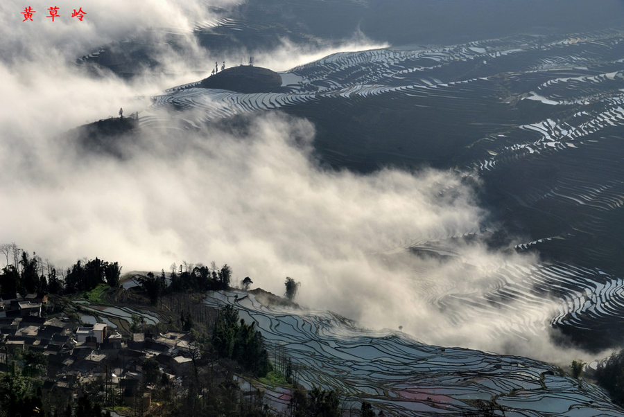黄草岭3.jpg