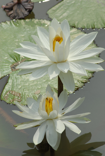 2006-8-5-6摄于长沙 280.jpg